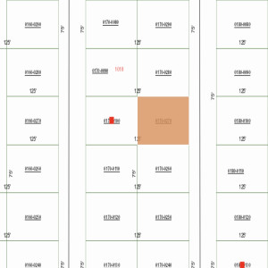 Putnam County Florida $300 per month Buildable Vacant Lot